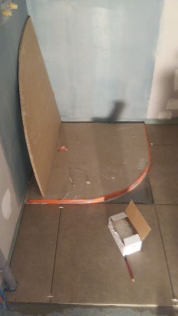  - Lucrari in Lyon 2018