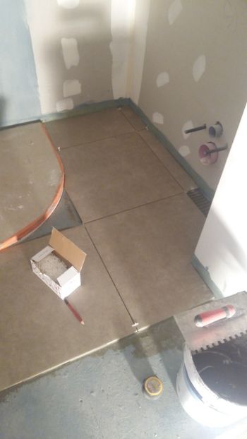  - Lucrari in Lyon 2018