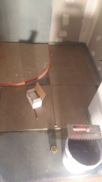  - Lucrari in Lyon 2018