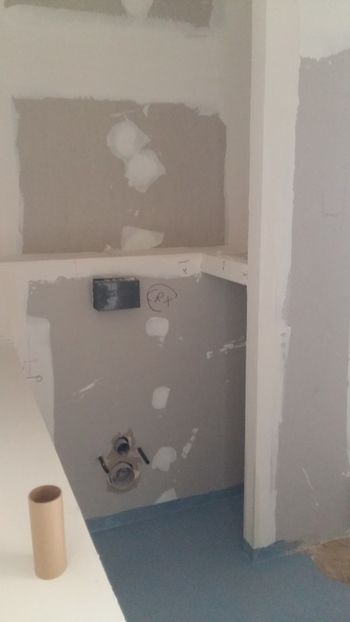  - Lucrari in Lyon 2018