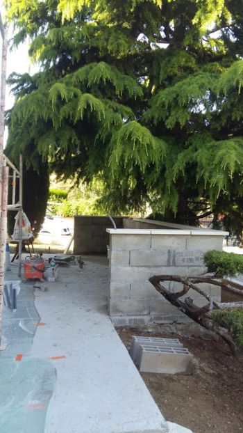  - Lucrari in Lyon 2018