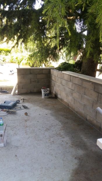  - Lucrari in Lyon 2018