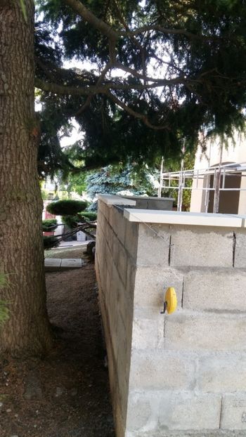  - Lucrari in Lyon 2018