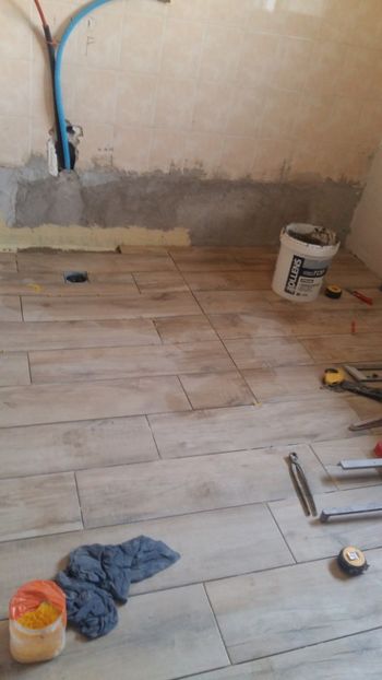  - Lucrari in Lyon 2018