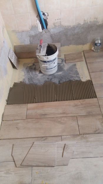  - Lucrari in Lyon 2018