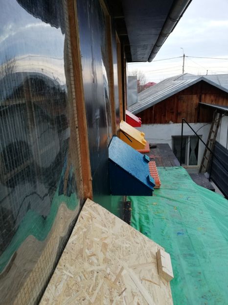  - Voliera noua locatie