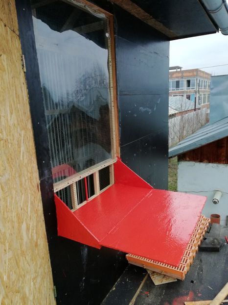  - Voliera noua locatie