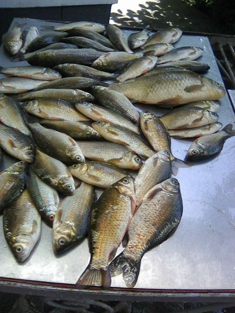 Photo0294 - PESCUIT 2018