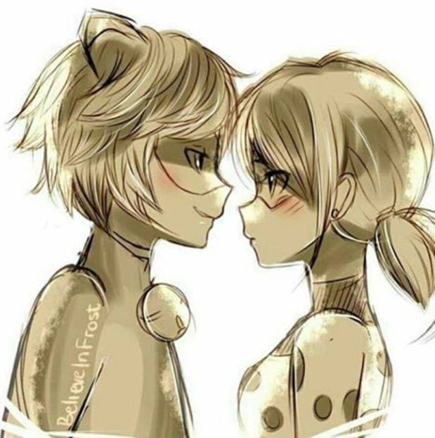  - 01 miraculous ladybug