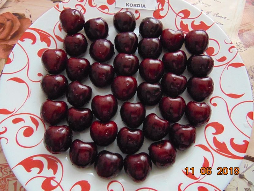 KORDIA 2018 - cires Kordia