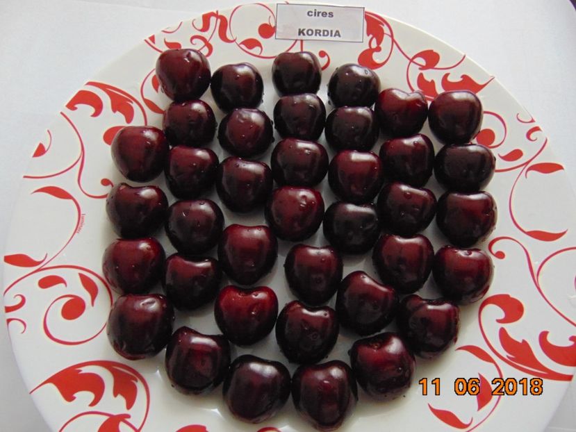 anul asta s-au copt mult mai devreme - cires Kordia