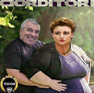  - Poze haioase pamflet