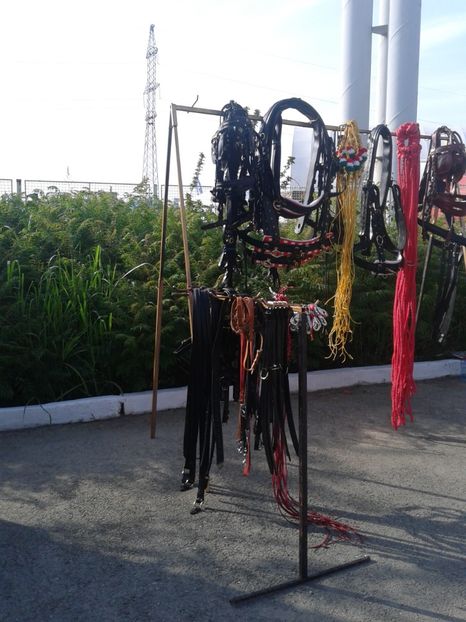 Fotografie0019 - 27---expozitie banat-agralim 2018