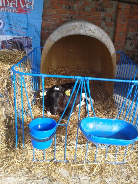 Fotografie0035 - 27---expozitie banat-agralim 2018