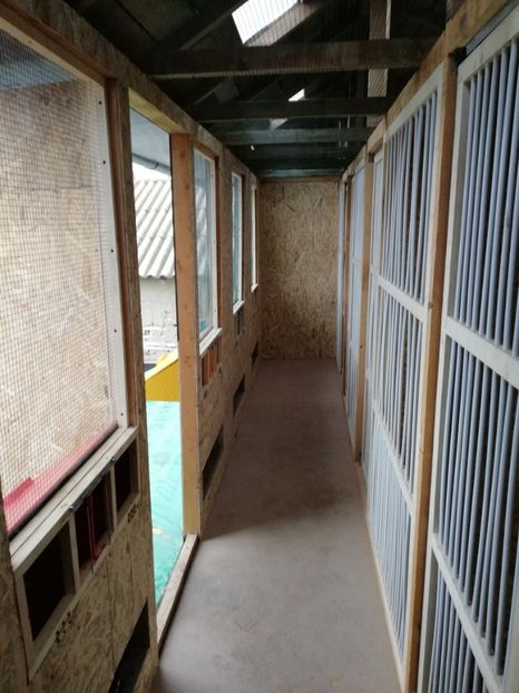  - Voliera noua locatie