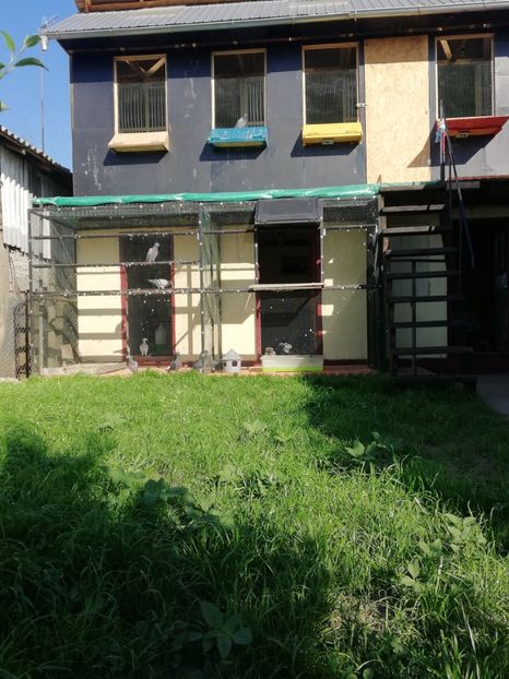  - Voliera noua locatie