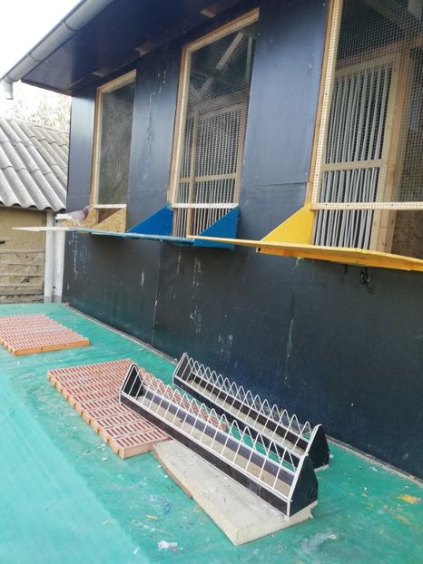  - Voliera noua locatie