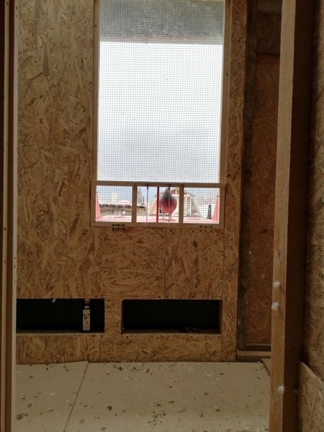  - Voliera noua locatie