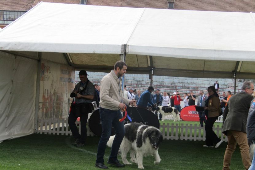 Sibiu 2018 - CIOBANESTI CARPATINI DIN EXPOZITII