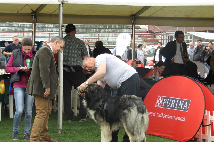 Sibiu 2018 - CIOBANESTI CARPATINI DIN EXPOZITII