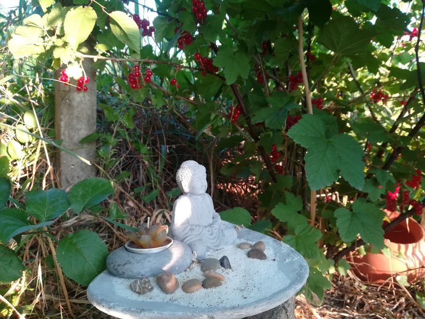  - Gradina 2018