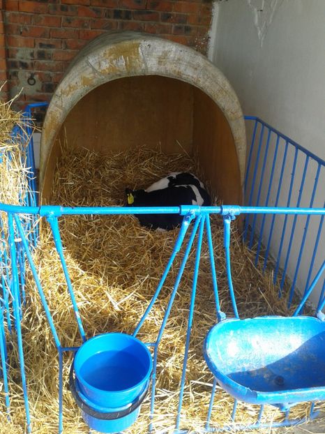 Fotografie0036 - 27---expozitie banat-agralim 2018