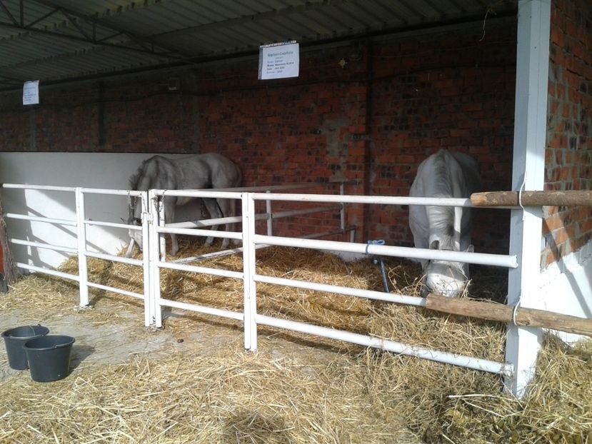 Fotografie0038 - 27---expozitie banat-agralim 2018