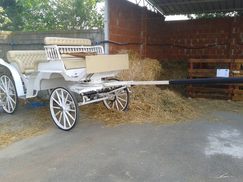 Fotografie0043 - 27---expozitie banat-agralim 2018