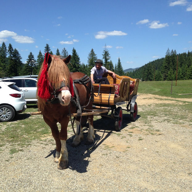  - HaiHui prin Bucovina
