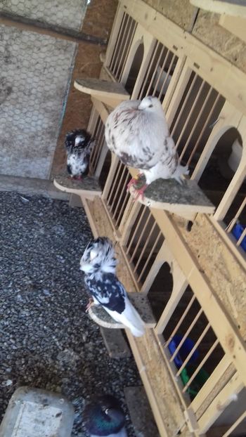 IMG-20180610-WA0088 - 13 Gaditanos