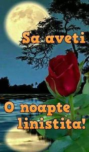  - Poze 4