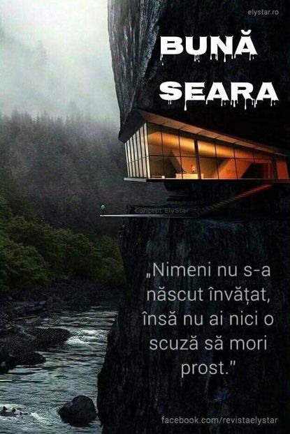  - Poze 4
