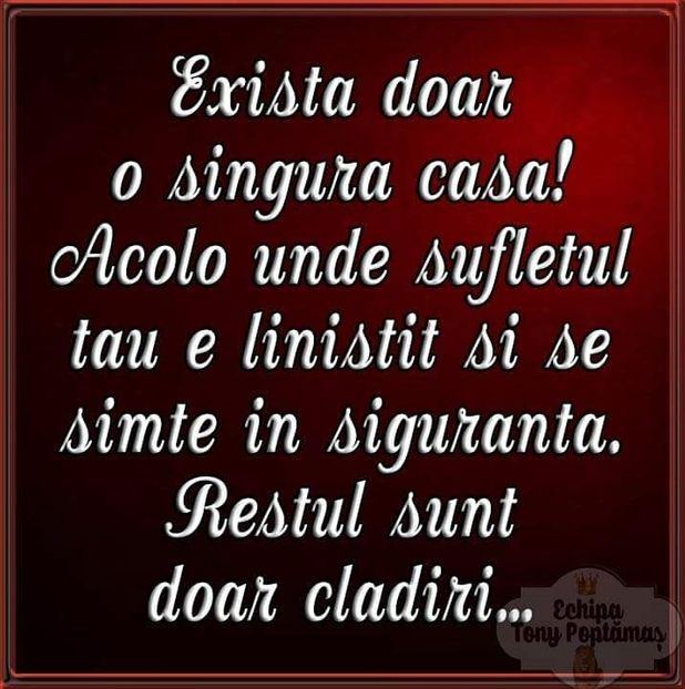  - Poze 4