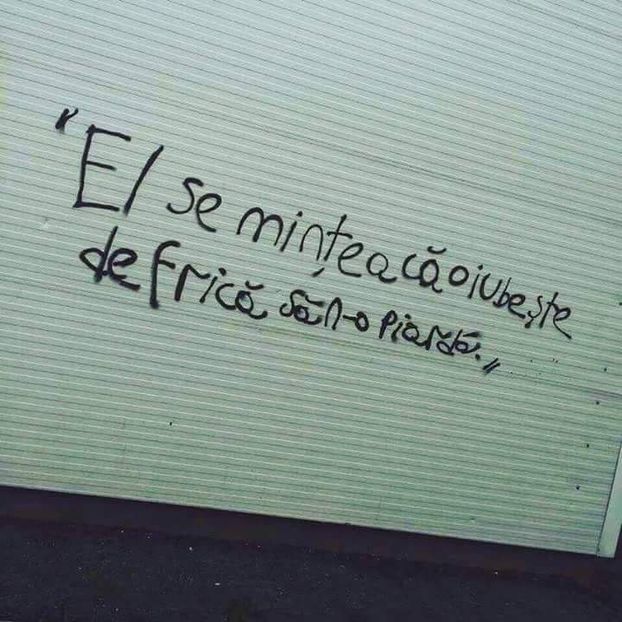  - Poze 4