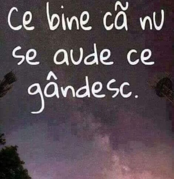  - Poze 4