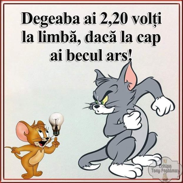  - Poze 4