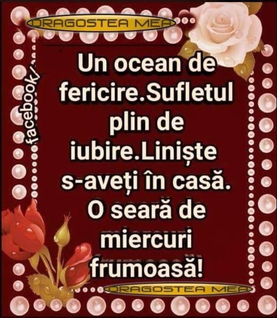  - Poze 4