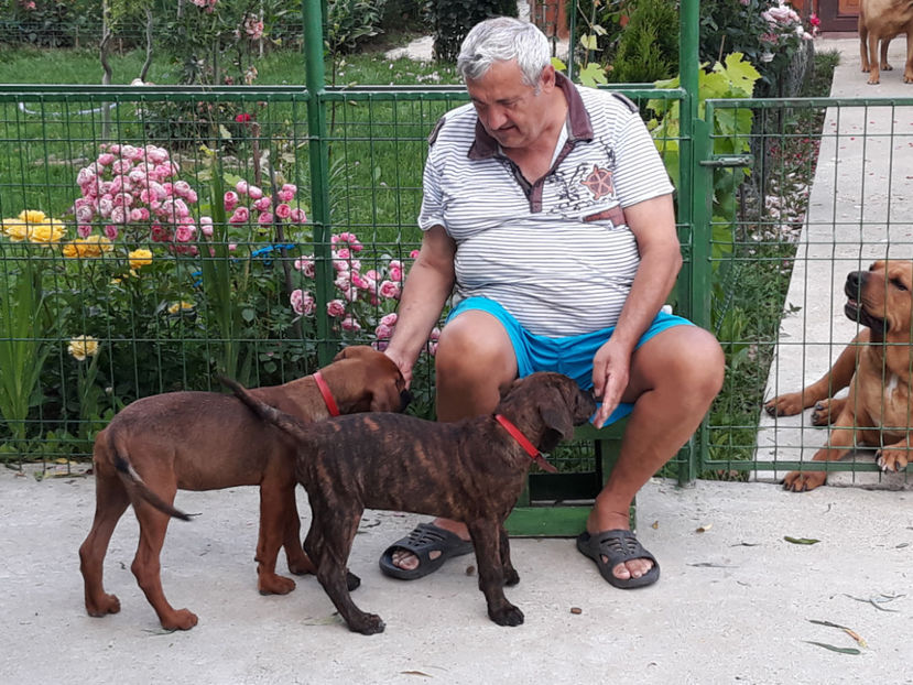  - 1 CATELUSELE NOASTRE