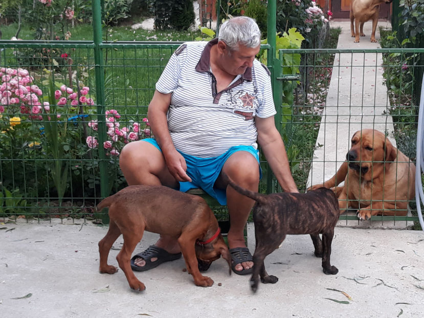  - 1 CATELUSELE NOASTRE