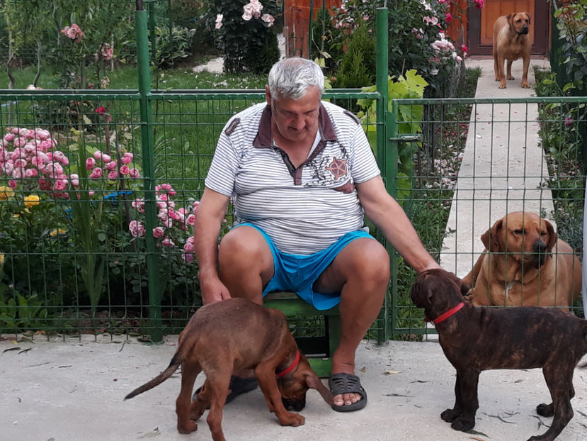  - 1 CATELUSELE NOASTRE