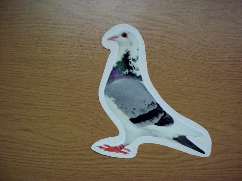 39 - PORUMBEI DE LIPIT - 6 lei