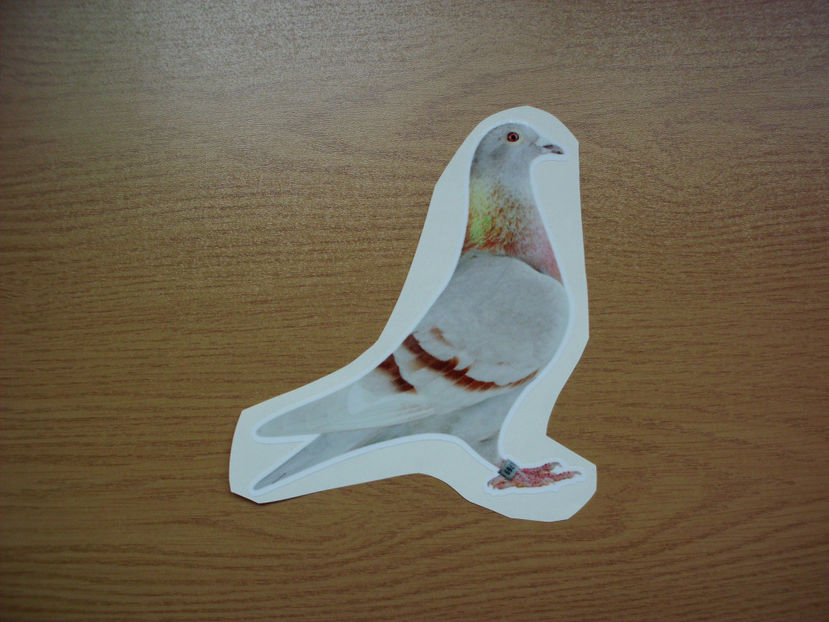 45 - PORUMBEI DE LIPIT - 6 lei