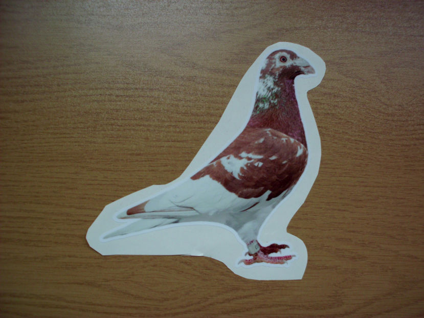 49 - PORUMBEI DE LIPIT - 6 lei