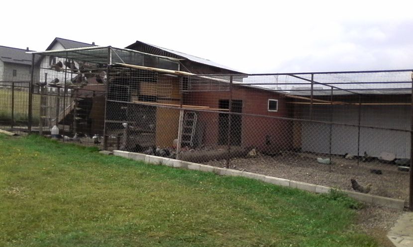  - Noutati 2018 In voliera Matca si puii