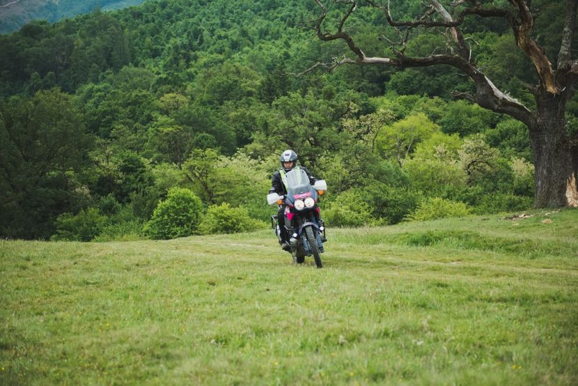  - Motogoat 2018