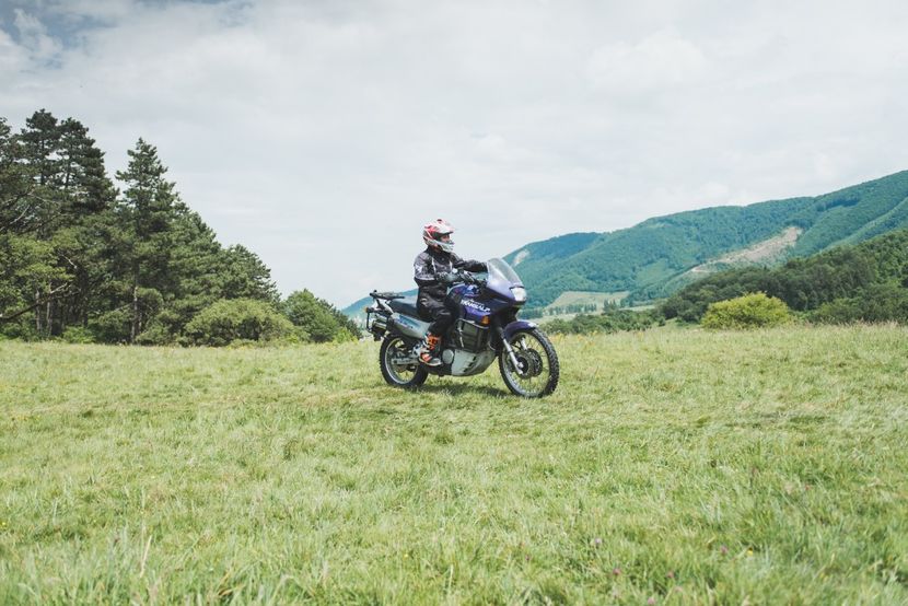  - Motogoat 2018