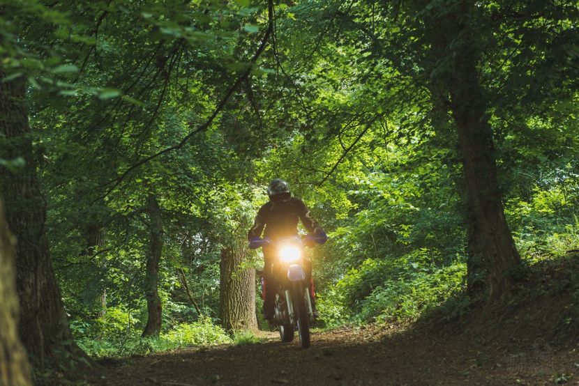  - Motogoat 2018