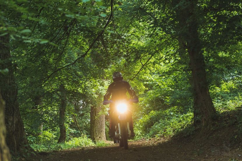  - Motogoat 2018