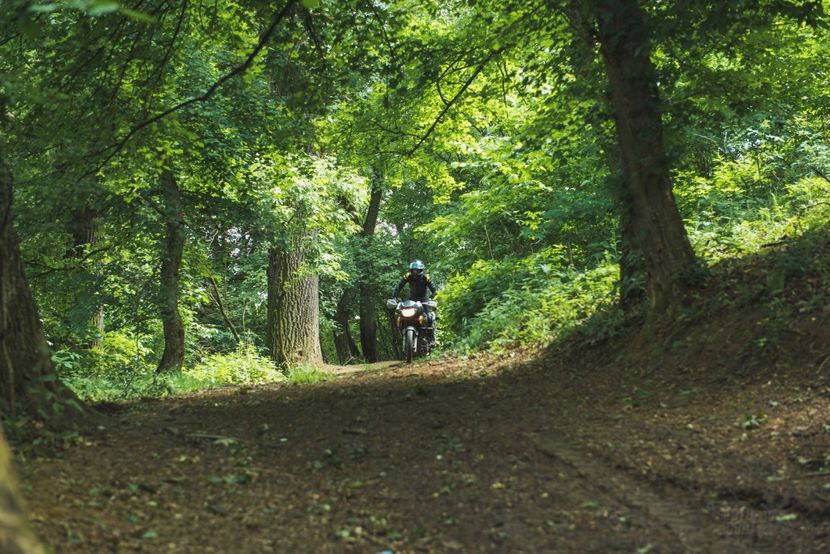  - Motogoat 2018