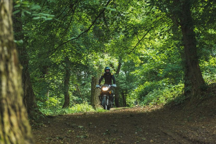 - Motogoat 2018